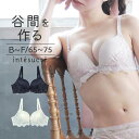 【50%OFF】アンテシュクレ intesucre narue×intesucre L wire Bra ブラジャー単品 くっきり谷間メイク BCDEFカップ アンダー65/70/75cm IBT372