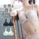 アンテシュクレ intesucre narue×intesucre L wire Bra ブラジャー単品 ふっくらデコルテメイク BCDEFカップ アンダー65/70/75cm IBT372