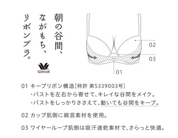 【25%OFF】ワコール 朝の谷間、ながもち、リボンブラ BRB450シリーズ ブラジャー単品 全4色 A-C/65-80 BRB450