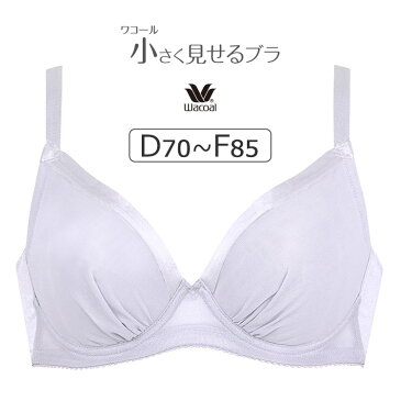 【20％OFF】ワコール 小さく見せるブラ BRB422シリーズ ブラジャー単品 全3色 D-F/65-85 BRB422