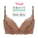 【15％OFF】トリンプ 天使のブラ スリムライン TR581シリーズ ノンワイヤーブラ Bカップ アンダー70/75cm TR581P