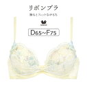 ワコール リボンブラ 胸もとフィットながもち BRB410シリーズ ブラジャー単品 DEFカップ アンダー65/70/75/80cm BRB410