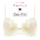 ワコール 女神のヒミツ BRB476シリーズ ブラジャー単品 DEFカップ アンダー65/70/75/80cm BRB476