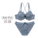 COCO Linge X[L[t[X uZbg ABCDEFJbv A_[ 65/70/75cm 327240