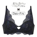 【26％OFF】ワコール 重力に負けないバストケアBra BRB474シリーズ ノンワイヤーブラ DEFカップ アンダー65/70/75/80cm BRA174