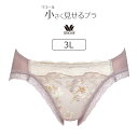 【25%OFF】ワコール 小さく見せるブラ BRB453シリーズ スタンダードショーツ はきこみ丈・あさめ 3L PRA153(4)
