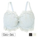 ナルエー エーデル 24-38511シリーズ ブラジャー単品 シェイプグラマー GHIカップ アンダー65/70/75/80/85cm 24-38511