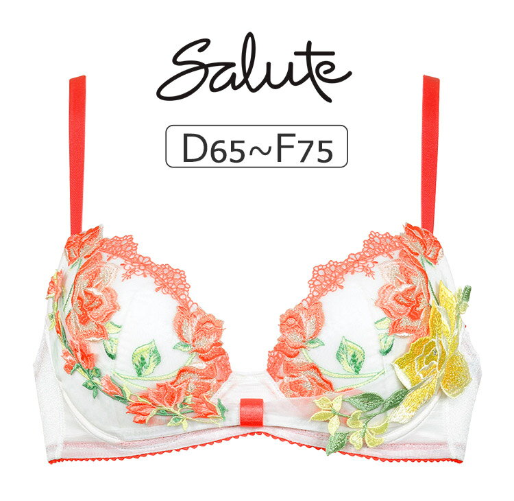 20OFFۥ拾 롼 11G ֥饸㡼ñ ܥ֥ DEFå 65/70/75cm BTJ711