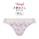 トリンプ 天使のブラ 魔法のハリ感 TR636シリーズ スタンダードショーツ M/L TR636Hikini