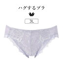 【20%OFF】ワコール ハグするブラ BXB418シリーズ スタンダードショーツ ハイレッグ ローライズ 3L PXB118