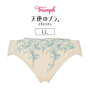トリンプ 天使のブラ スリムライン TR634シリーズ スタンダードショーツ LL TR634Hikini