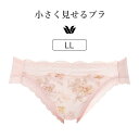 【25%OFF】ワコール 小さく見せるブラ BRB453シリーズ スタンダードショーツ はきこみ丈・あさめ LL PRA153