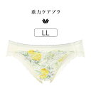 【25%OFF】ワコール 重力ケアブラ BXB194シリーズ スタンダードショーツ ハイレッグ はきこみ丈 あさめ(ローライズ) LL PXB194(4)