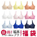 【6/5限定★抽選で2人に1人最大300%ポイントバック★要エントリー】アンテシュクレ intesucre 超得☆脇高ブラ アンダー80サイズ 福袋 ブラジャー...