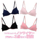 アンテシュクレ intesucre ノンワイヤーブラ単品福袋2点セット 福袋 M/L 899-29296-E