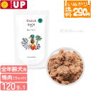 【3点まで 送料290円】 ビオリオーブ ダック・ディッシュ 犬用 全年齢用 120g 少量 お試し ウェットフード ドッグフード トッピング 無添加 手作り食 栄養補助 鴨 パウチ 【いぬかりライト便】 【代引不可/同梱不可】