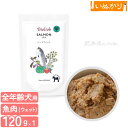 ビオリオーブ サーモン・ディッシュ ハート・フィット(心臓) 犬用 120g ウェットフード ドッグフード トッピング 無添加 手作り食 栄養補助 鮭 パウチ