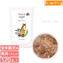 ビオリオーブ ホース・ディッシュ 犬用 全年齢用 120g 少量 お試し ウェットフード ドッグフード トッピング 無添加 手作り食 栄養補助 馬 パウチ
