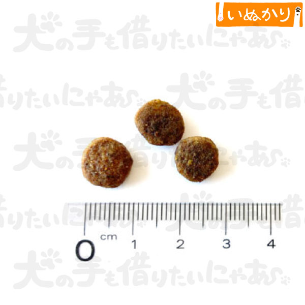 Brit ブリットケア キャット グレインフリー インドア 猫用 チキン 成猫用 7kg ドライフード キャットフード 室内飼育 室内猫 inu-kari-10000792 犬の手も借りたいにゃあ サンプル画像2