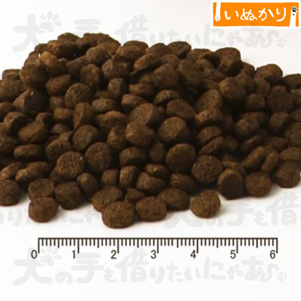 フィッシュ4ドッグ スーペリア パピー 12kg (6kg×2) 犬用 成犬 魚肉 ドッグフード ドライフード 穀物不使用 サーモン サプリメント 高級 ワンランク上 大容量 まとめ買い inu-kari-10001881 犬の手も借りたいにゃあ サンプル画像2