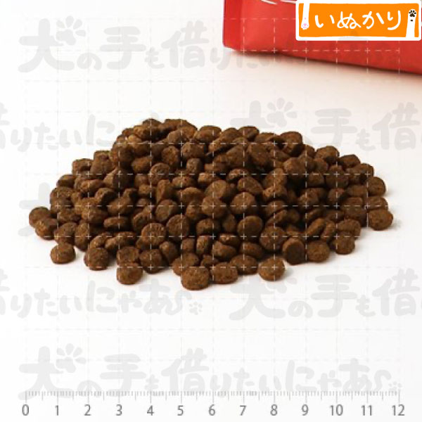 フィッシュ4ドッグ スーペリア アダルト 6kg 犬用 成犬 魚肉 ドッグフード ドライフード 穀物不使用 サーモン サプリメント 高級 ワンランク上 inu-kari-10001867 犬の手も借りたいにゃあ サンプル画像2