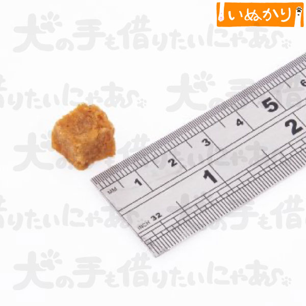 フィッシュ4ドッグ トレーニングトリーツ サーモンバイツ 80g 犬用 魚肉 ドッグフ...
