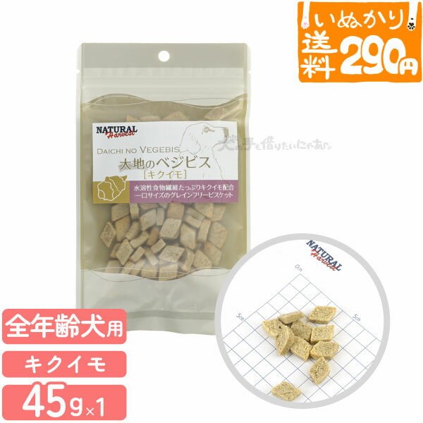 μڤꤿˤ㤢㤨֡4ޤ 290ߡۥʥϡ٥ ϤΤ٥ӥ   45g  ȥ꡼ ۤ 㤬 ݥƥ ӥå ̥ ꥦ ʪݡڤ̤饤ء Բ/ƱԲġۡפβǤʤ550ߤˤʤޤ