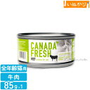 ペットカインド カナダフレッシュ ビーフ 85g 猫用 総合栄養食 全年齢 牛 ウェットフード キャットフード お試し 小容量