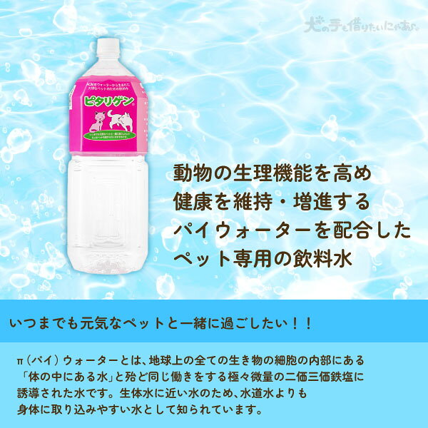 ピタリゲン 犬猫用 ペット用 飲料水 2L×6本 パイウォーター 防災 備蓄 非常用 ペット臭軽減 inu-kari-10001197 犬の手も借りたいにゃあ サンプル画像3