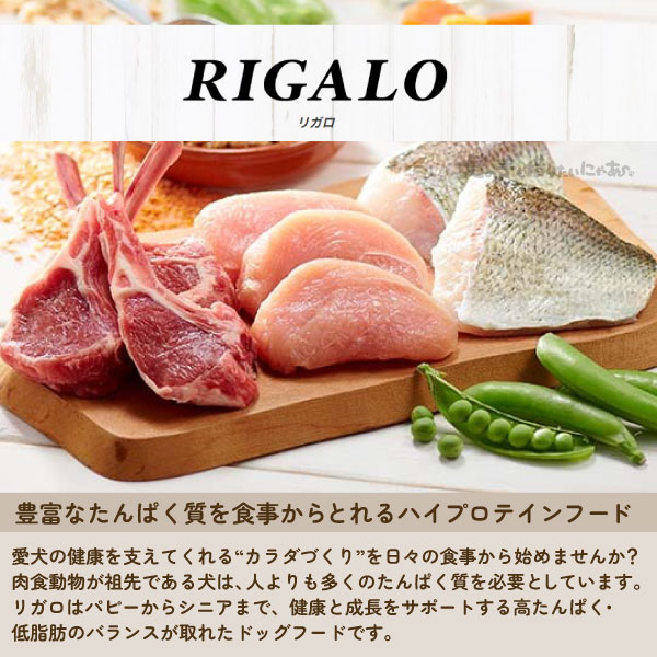 サンプル画像3