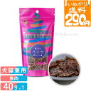 【いぬかりライト便 1点まで 送料290円】 タネンバウム 鮫フィレ 40g トリーツ 関節ケア グルコサミン コンドロイチン 【代引不可/同梱不可】