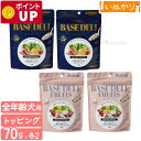 ベースデリ 2種セット( ベースデリ / ベースデリフルーツ ) 70g×各2 犬用 全年齢用 一般食 ベースフード ドッグフード ペットフード 主食 トッピン...