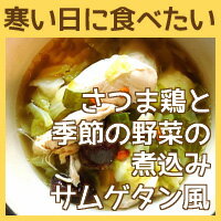 さつま鶏と季節の野菜の煮込みサムゲタン風【手作りごはん　犬用デリカテッセン　無添加ドッグフード】