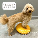 DINGO バランスディスク ラウンド 犬 ペット ドッグ バランスボール ドーナツ バランスディスク 小型犬 中型犬 大型犬 体幹トレーニング アジリティ シニア 健康 筋トレ