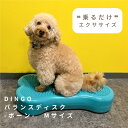 DINGO バランスディスク ボーン Mサイズ 犬 ペット ドッグ バランスボール ドーナツ バランスディスク 小型犬 中型犬 大型犬 体幹トレーニング アジリティ シニア 健康 筋トレ