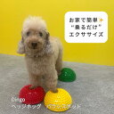 DINGO ヘッジホッグ バランスポッド 犬 ペット ドッグ バランスボール ドーナツ バランスディスク 小型犬 中型犬 大型犬 体幹トレーニング アジリティ シニア 健康 筋トレ