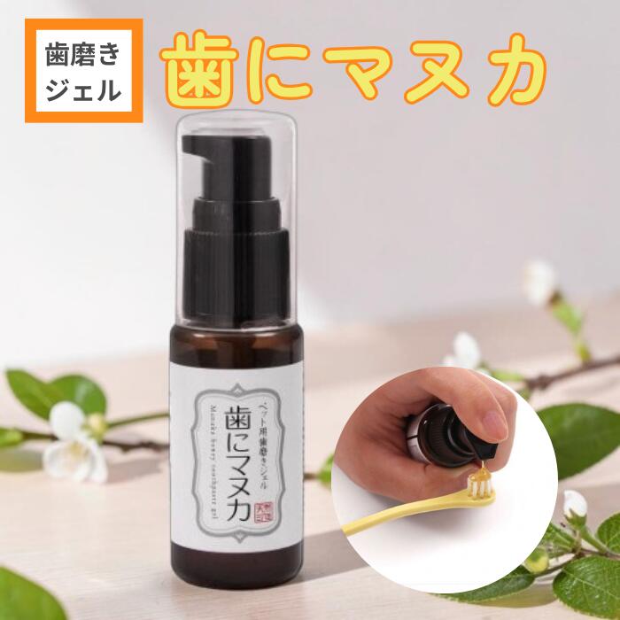 商品情報成分マヌカハニー、精製水、コロイダルシルバー、糊料（昆布類粘質物）生産国日本内容量30g使用量目安小型犬・猫：2プッシュ程度大型犬：3プッシュ程度歯ブラシやガーゼに付けて歯磨きをするのがベストですが、舐めさせるだけでも有効です。注意事項※子犬、子猫には与えないでください。●使用用途以外に使用しないでください。●本品を使用し異常が見られた場合、すぐに使用を中止し獣医師の診断を受けるようにしてください。●口内に異常がある時は使用しないでください。●直射日光を避け、高温多湿にならない場所、また子供の手の届かない場所で保管してください。●開封後は消費期限に関わらず、お早めに使用してください。天然365 歯にマヌカ マヌカハニー 歯磨き 歯磨きジェル 歯周病 歯垢 口臭 簡単 毎日ケア 犬猫用 ニュージーランド産マヌカハニー50％配合　おいしく舐めて口内環境ケア　抗菌力の高いMGO成分で歯磨きが苦手な子にも◎毎日のケアを“ごほうび時間”に。 ●マヌカハニーの優れた抗菌作用マヌカハニーに含まれる「食物メチルグリオキサール(MGO)」は強力な抗菌性を持っており、歯周病の予防だけでなく、口内炎や口臭の抑制にも役立ちます。●濃厚で上質の美味しさ成分中50％がマヌカハニーそのものなので、ペットが喜んで歯磨きをさせてくれます。歯磨きが苦手な子もまずはペロッと舐めてみるところから！●お口全体の健康を保つ成分配合マヌカハニーに含まれるシリング酸メチルは活性酸素を除去する強力な抗酸化作用があります。また、天然の抗生物質といわれるコロイダルシルバーも配合。●使いやすいプッシュボトルプッシュ式のボトルなので量の調整をしやすく使いやすいです。手のひらサイズなので持ち運びしやすく、お出かけ先でもケアできます。 5