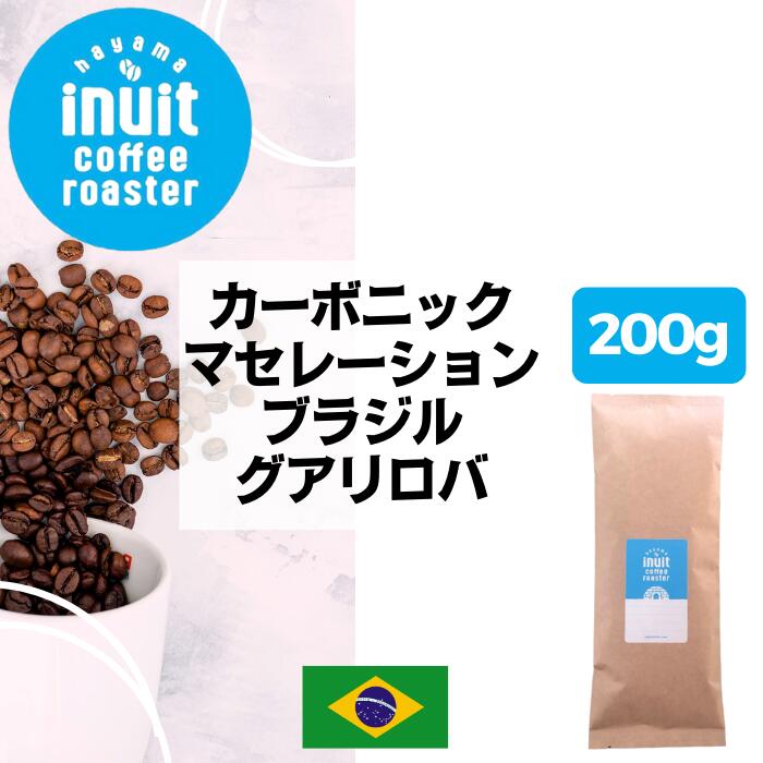 スペシャルティコーヒー 200g 【ブラジル グアリロバ カーボニックマセレーション 】葉山イヌイットコーヒーロースター 中煎り 自家焙煎 直送 豆 粉 ハイロースト シングルオリジン 新鮮 高級 Qグレード コーヒー豆 珈琲豆 メール便