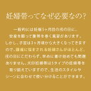 犬印本舗 妊婦帯 【グッドデザイン賞 受賞】検診 便利パンツ妊婦帯 | ブラック ネイビー ML 腹帯 マタニティ ガードル 肌に優しい 出産準備 保温 マタニティーパンツ ショーツ 妊娠帯 妊婦 戌の日 妊娠 マタニティ パンツ マタニティガードル パンツタイプ おりもの 産前 3