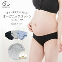 犬印本舗 マタニティショーツ
