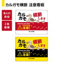 カルガモ 横断注意 看板 プレート 鴨の親子 お引越し中 鴨に注意 可愛い おしゃれ 大きめ 目立つ イラスト 警戒標識 ロードキル対策 動物注意 パネル 自動車 事故防止 道路 路上 公園 選べる わかりやすい 屋外用 防水 W600×H450m