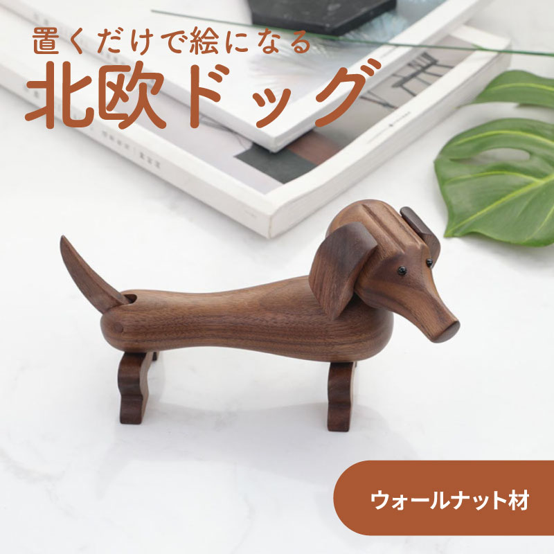 楽天市場】カイボイスン ダックスフンドの通販