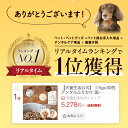 ＼楽天RANKING1位！／【特典付き】【犬猫生活公式】犬 猫 用 デンタルふりかけ 国産 無添加 1.5g×30包 獣医師共同開発 ふりかけ 粉末 パウダー 歯磨き粉 口臭ケア 口内ケア 2