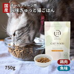 【特典付き】【犬猫生活公式】 キャットフード オールステージ 無添加 国産の生鶏肉味 金沢港の朝獲れ魚味 750g～ ドライ 化学調味料不使用 着色料不使用