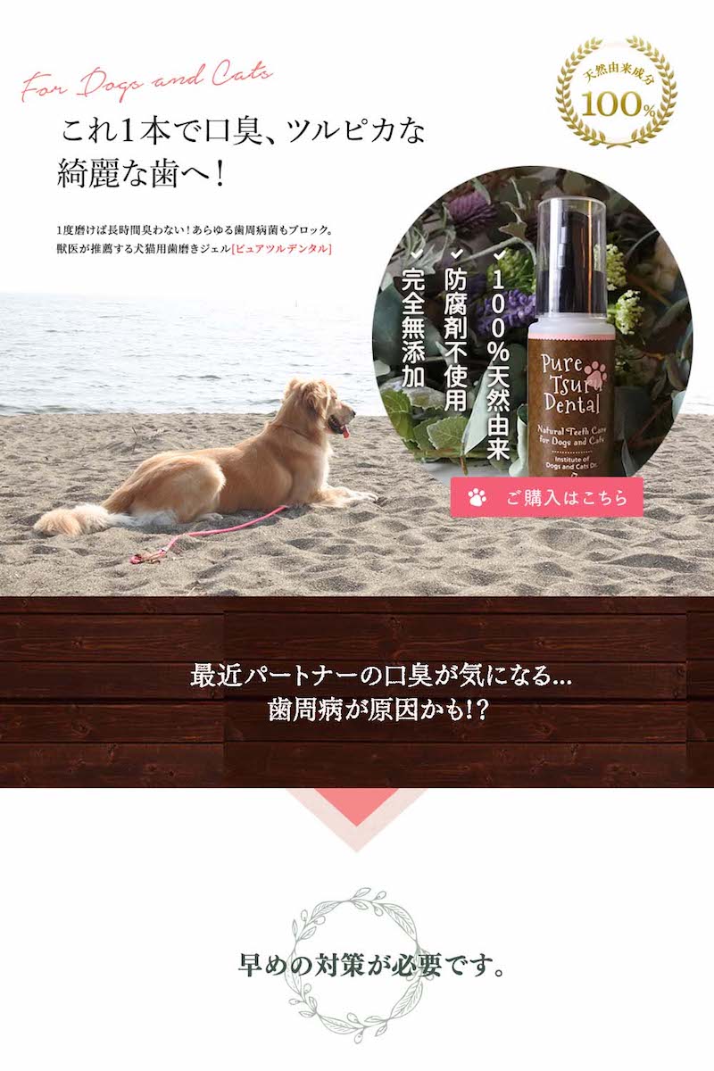 楽天市場 犬 デンタルケア わんこの 犬 歯石除去 歯垢 犬 歯石取り 猫 歯石取り 犬 口臭 犬 歯磨き粉 歯磨きジェル 猫 口内炎 無添加 口臭予防 安心安全な100 天然由来 歯磨きジェル ピュアツルデンタル 60m 犬猫博士の研究所 みんなのレビュー 口コミ 楽天市場 犬 デンタルケア わんこの 犬 歯石除去 歯垢 犬 歯石取り 猫 歯石取り 犬 口臭 犬 歯磨き粉 歯磨きジェル 猫 口内炎 無添加 口臭予防 安心安全な100 天然由来 歯磨きジェル ピュアツルデンタル 60m 犬猫博士の研究所 みんなのレビュー 口コミ