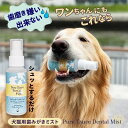 ミスト歯磨き 80mL 犬 デンタルケア 