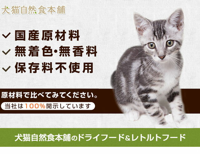 キャットフード お試しフルセット ドライフード＆レトルトフード9種入り 国産 無添加 自然食品【送料無料】| お試し レトルト 猫 詰め合わせ ウェットフード ドライ ウェット フード ウエットフード キャット ペットフード サンプル 猫用