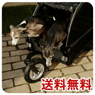 AirBuggy for Dog CUBE TWINKLE（BK）（エアバギーフォードッグ・キューブ　ブラック）【送料無料】【smtb-MS】