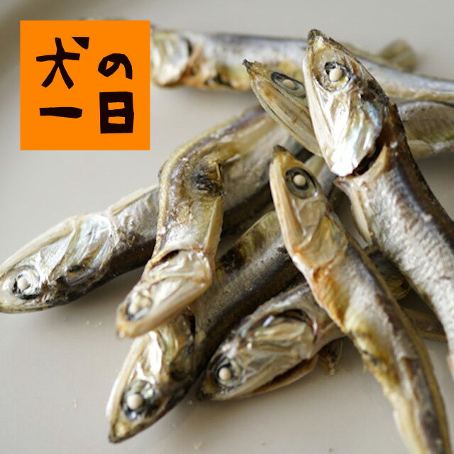 無塩いりこ煮干し50g【お魚系人気No.1！】 犬 おやつ 無添加 国産 犬の一日 手作り 犬おやつ 国産無添加 大分県産 無塩いりこ 無塩 いりこ 煮干し カルシウム 魚 猫 猫おやつ 猫の一日 おうち時間 ペット ペット用品