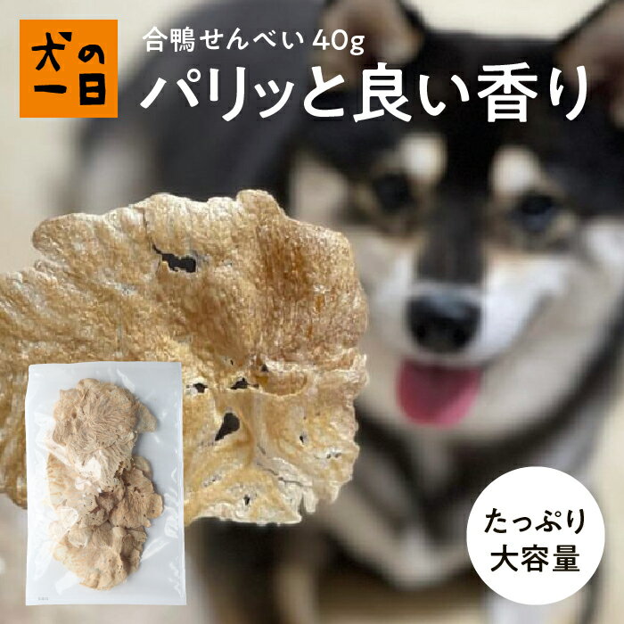 犬 おやつ 無添加 国産 合鴨せんべ�